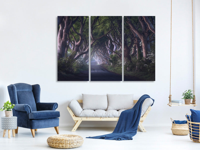 3-piece-canvas-print-the-dark-hedges