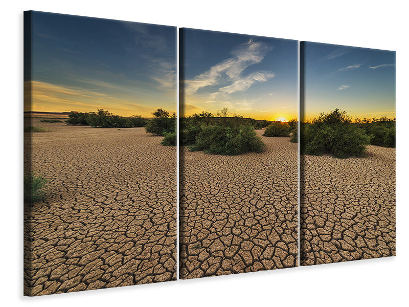 3-piece-canvas-print-the-drought
