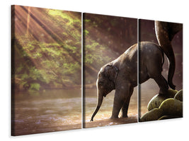 3-piece-canvas-print-the-elephant-baby