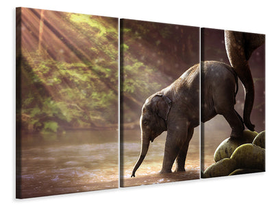 3-piece-canvas-print-the-elephant-baby