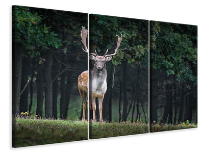 3-piece-canvas-print-the-fallow-deer-ii
