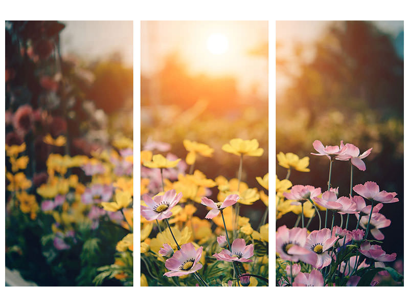 3-piece-canvas-print-the-flowers