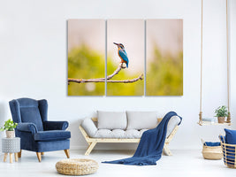 3-piece-canvas-print-the-kingfisher