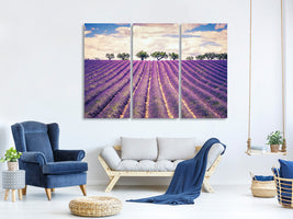 3-piece-canvas-print-the-lavender-field-ii