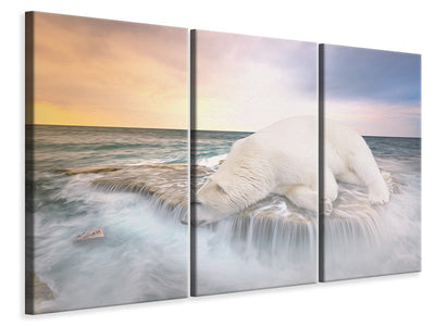 3-piece-canvas-print-the-polar-bear-and-the-sea