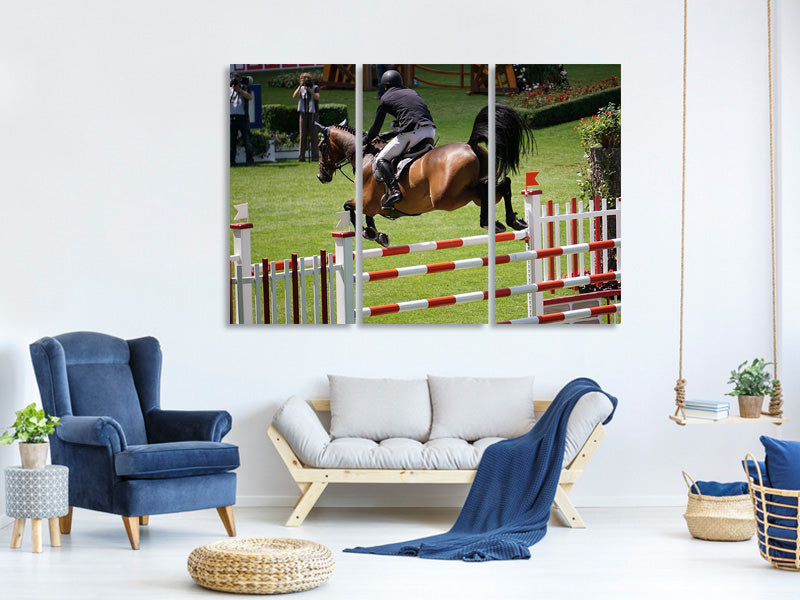 3-piece-canvas-print-the-show-jumper