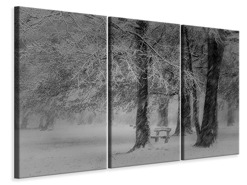 3-piece-canvas-print-transformation