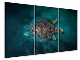 3-piece-canvas-print-valocity-turtle