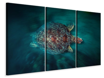 3-piece-canvas-print-valocity-turtle