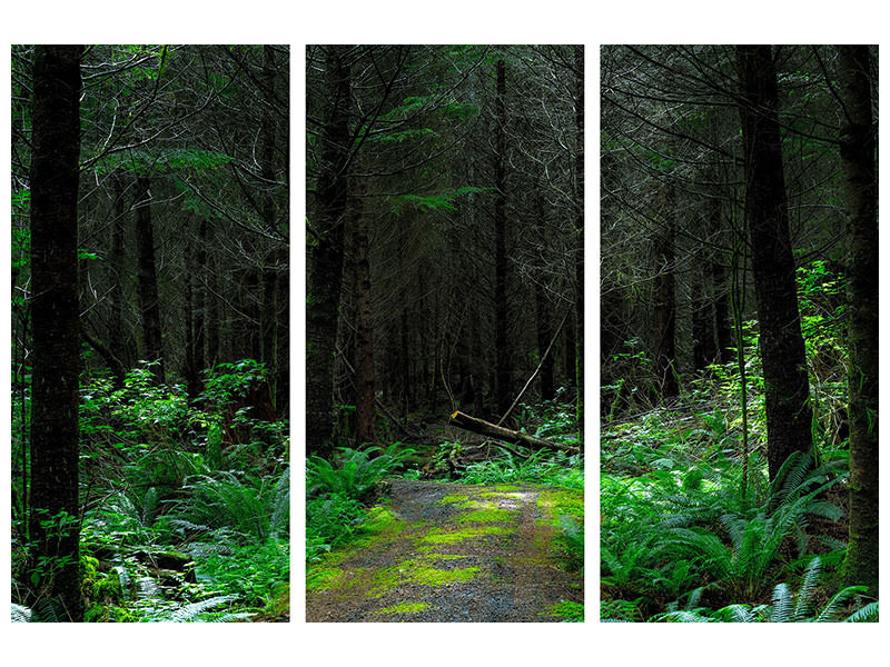 3-piece-canvas-print-wild-forest