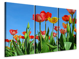 3-piece-canvas-print-wild-tulips