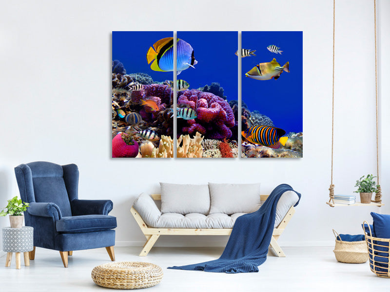 3-piece-canvas-print-world-of-fish