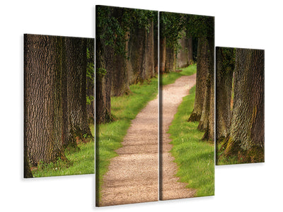 4-piece-canvas-print-a-path-in-the-forest