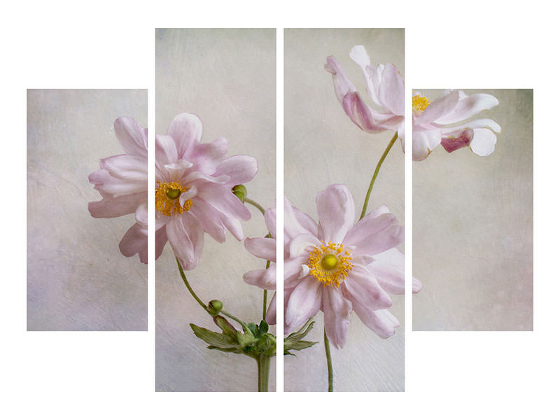 4-piece-canvas-print-anemones