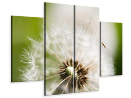 4-piece-canvas-print-blowball-dandelion