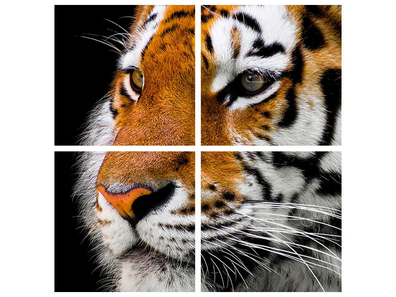 4-piece-canvas-print-close-up-tiger-head