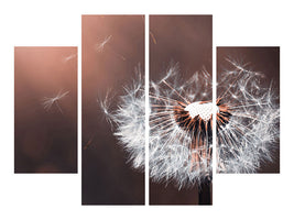 4-piece-canvas-print-dandelion-in-the-evening-light