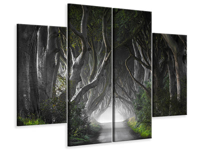 4-piece-canvas-print-dark-hedges