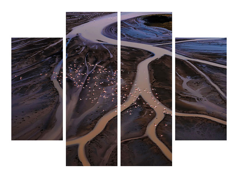 4-piece-canvas-print-flying-over-lake-magadi-i