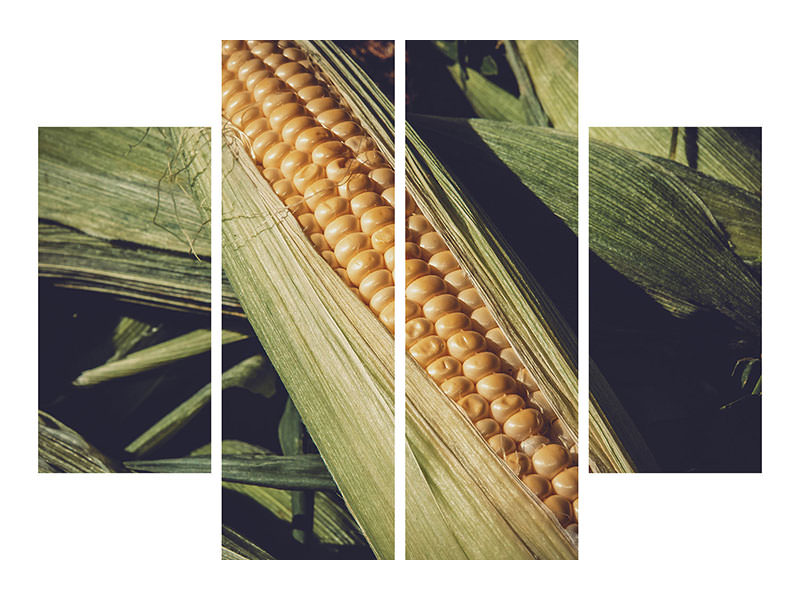 4-piece-canvas-print-fresh-sweetcorn