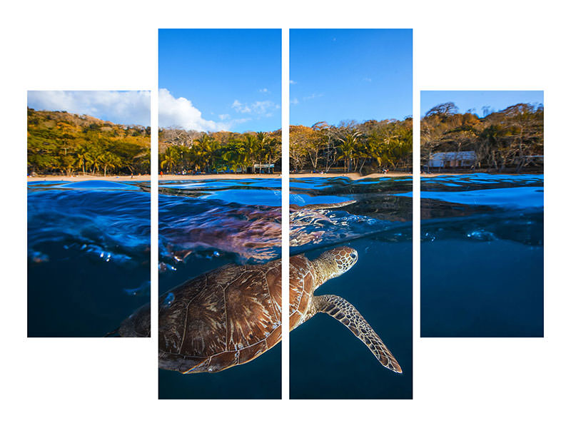 4-piece-canvas-print-green-turtle-sea-turtle