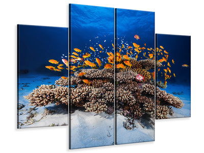 4-piece-canvas-print-marine-life
