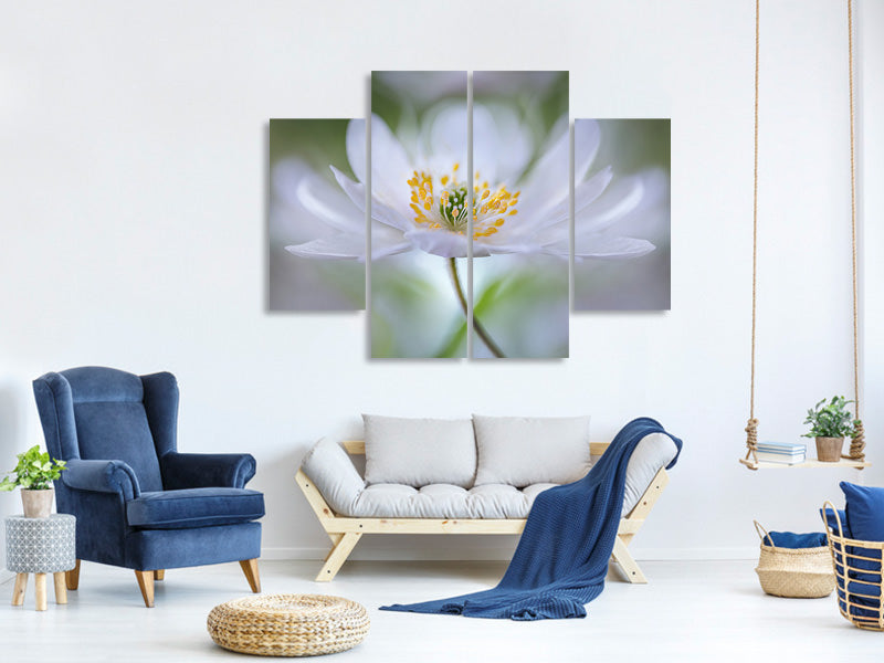 4-piece-canvas-print-nemorosa-nirvana