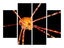 4-piece-canvas-print-spider-squat-lobster