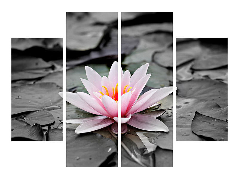 4-piece-canvas-print-the-art-of-water-lily