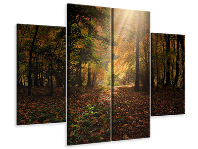 4-piece-canvas-print-the-deciduous-forest