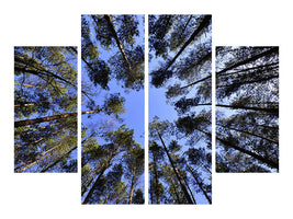 4-piece-canvas-print-under-high-treetops