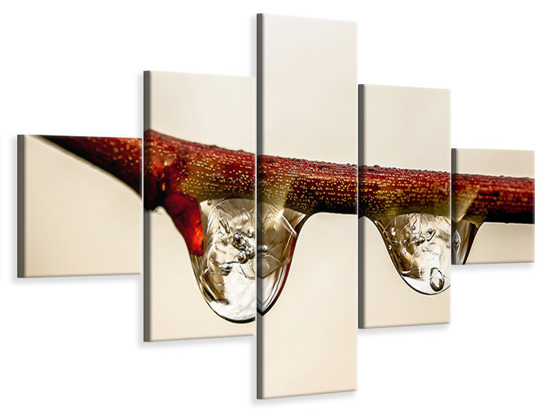 5-piece-canvas-print-2-raindrops