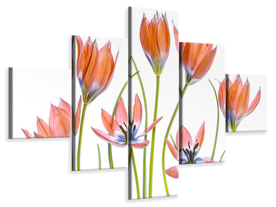 5-piece-canvas-print-apricot-tulips