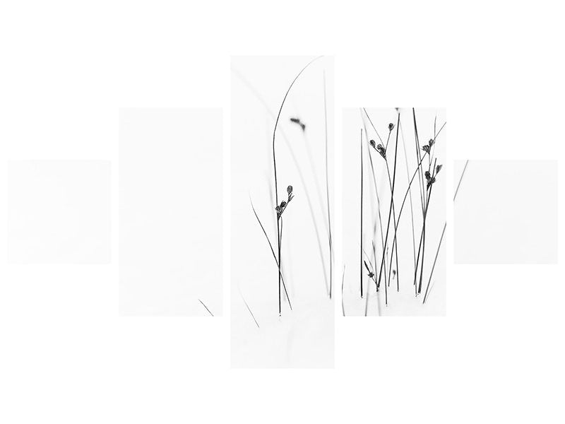 5-piece-canvas-print-black-on-white