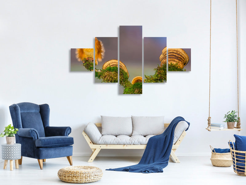 5-piece-canvas-print-buhtlin