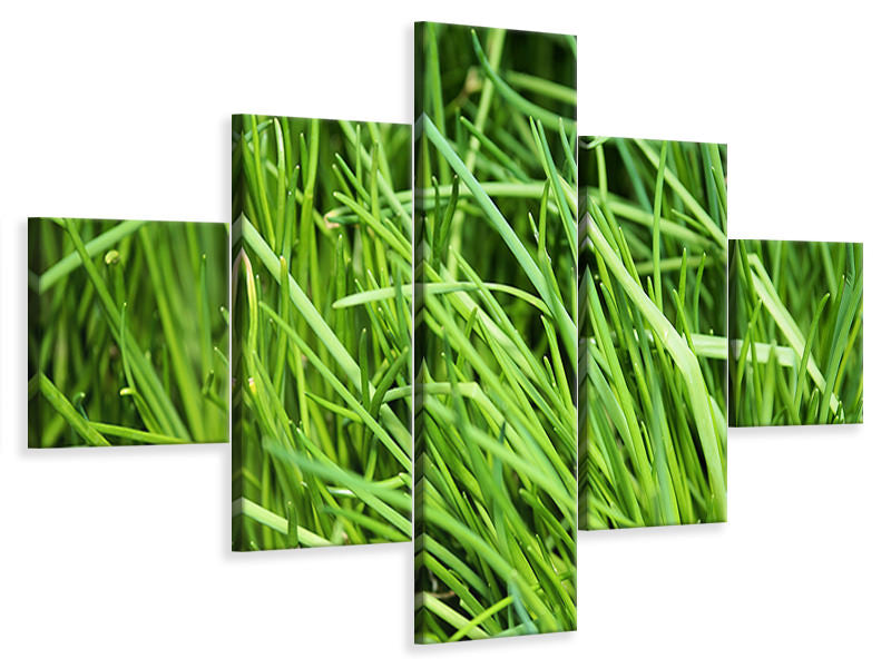 5-piece-canvas-print-fresh-chives-xl