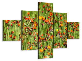 5-piece-canvas-print-hawkweeds