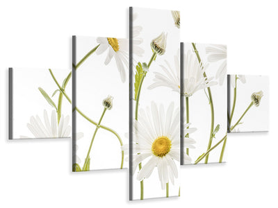 5-piece-canvas-print-ox-eye-daisies