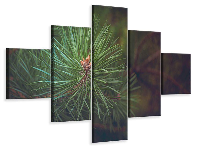 5-piece-canvas-print-pine-tree-close-up