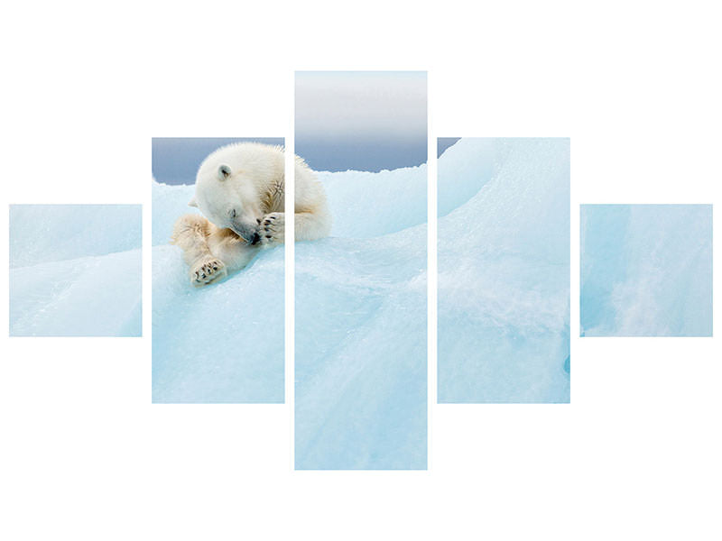 5-piece-canvas-print-polar-bear-grooming