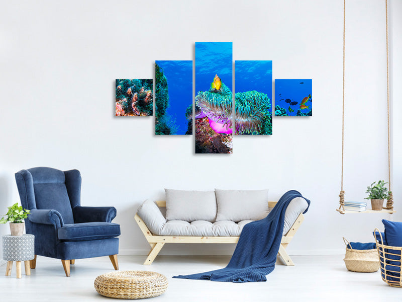 5-piece-canvas-print-sea-life