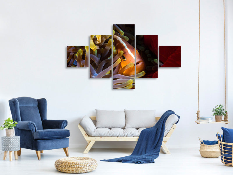 5-piece-canvas-print-skunk-clownfish