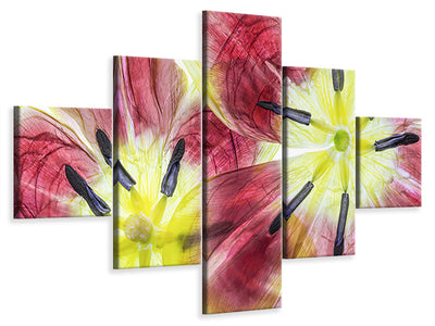 5-piece-canvas-print-tulips