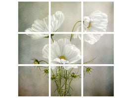 9-piece-canvas-print-cosmos-charm