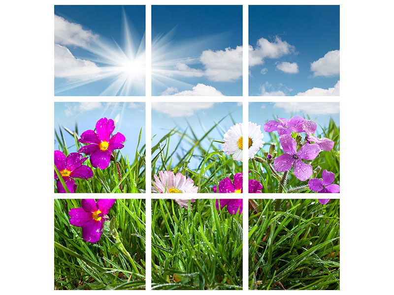 9-piece-canvas-print-flowering-meadow