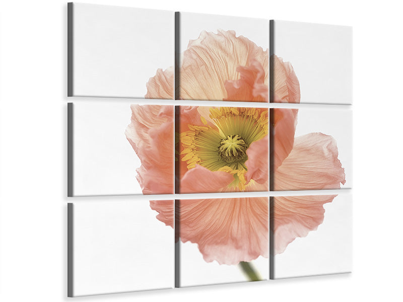 9-piece-canvas-print-poppy