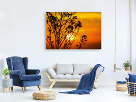 canvas-print-a-shrub-in-the-sunset