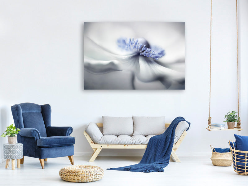 canvas-print-anemone-spirit