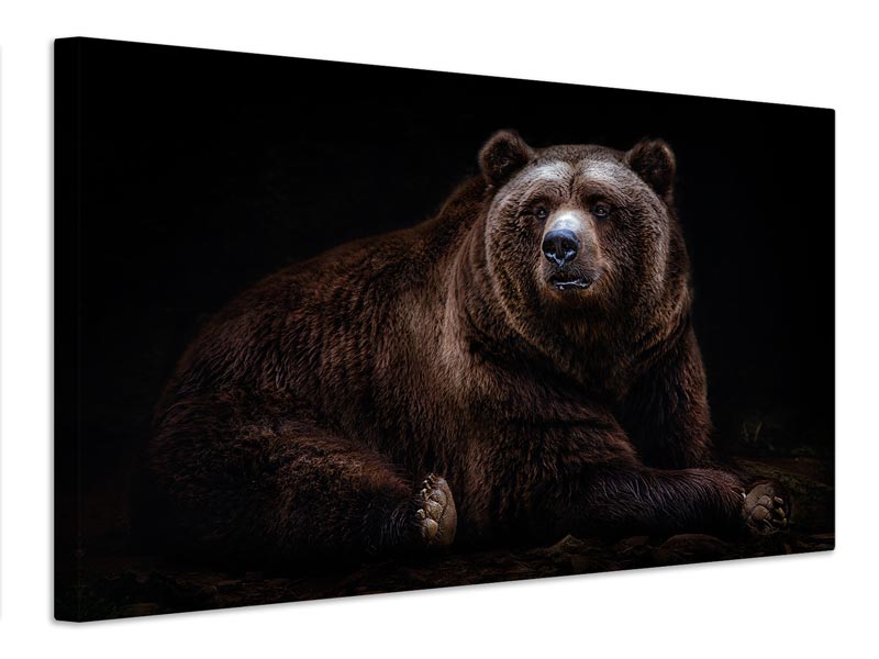 canvas-print-bear-portrait-xav