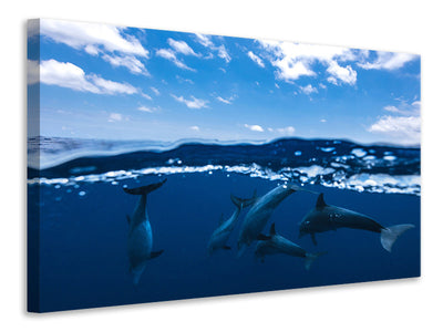 canvas-print-between-air-and-water-with-the-dolphins
